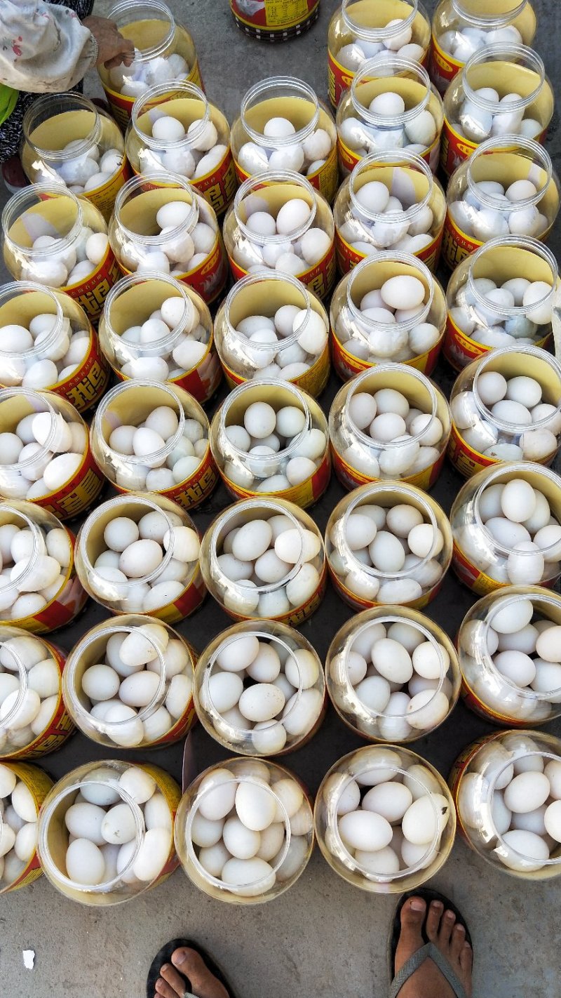 网红桶装大鹅蛋价格美丽，量大从优