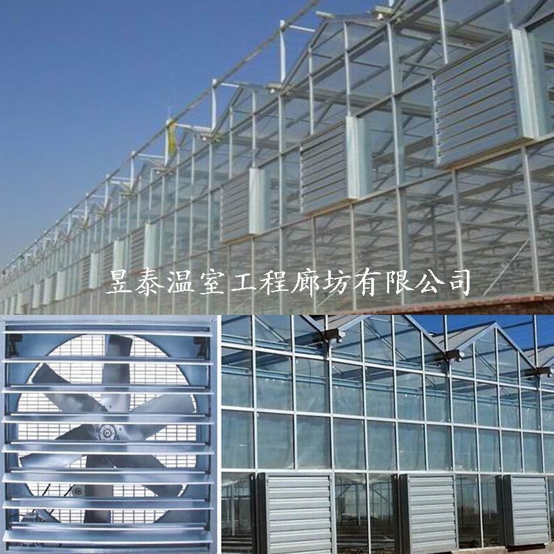 温室大棚负压风机降温湿帘水帘轴流风机昱泰温室
