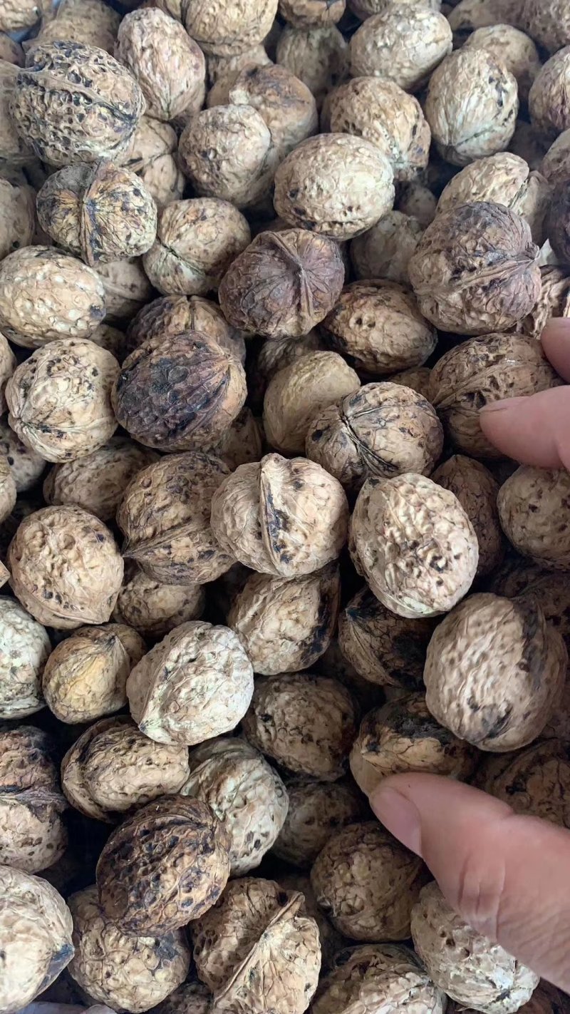云南麻子核桃地摊热卖暴利产品，地摊火爆热卖资源