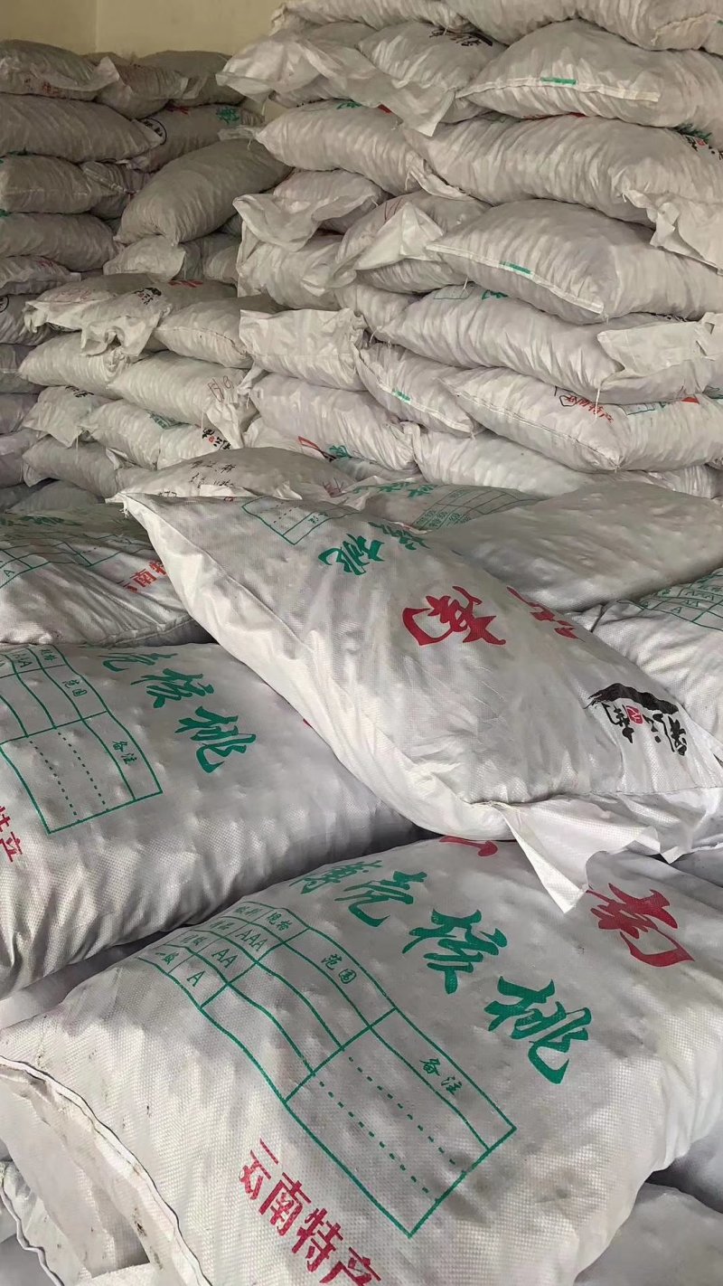 云南麻子核桃地摊热卖暴利产品，地摊火爆热卖资源
