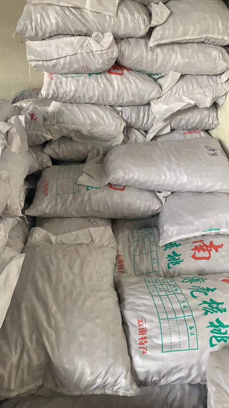 云南麻子核桃地摊热卖暴利产品，地摊火爆热卖资源