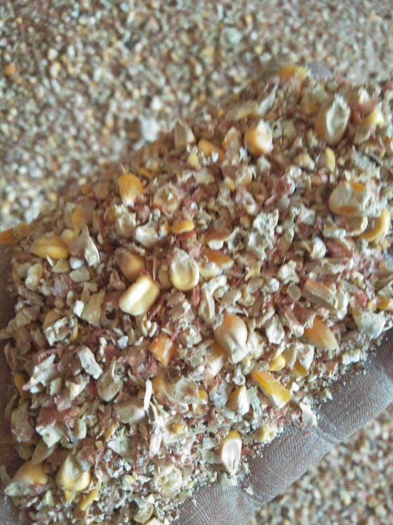 厂家直销动物饲料碎玉米玉米下脚料干净玉米碎批发量大优
