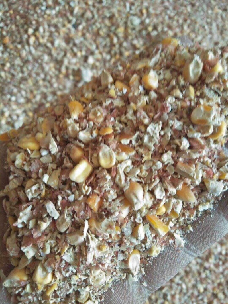 厂家直销东北烘干碎玉米净粮鸡鸭鹅牛羊碎玉米