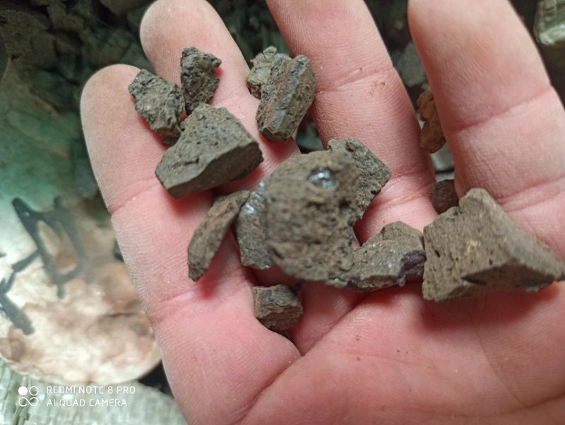 芦荟芦荟块卢会，讷会，象胆，奴会，劳伟，库拉索芦荟