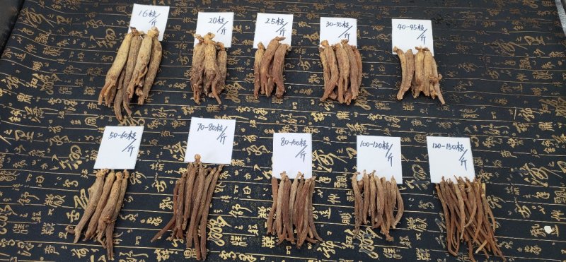 长白山人参红参光枝五年六年吉林人参产地批发量大从优