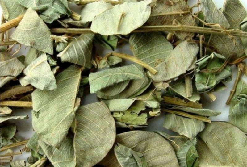 广金钱草，产地广西道地药材，质优价实，品质保证，药典标准