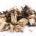 磨盘草,道地药材,质优价实,品质保证,药典标准一公斤起批