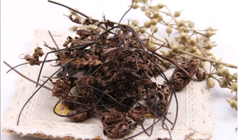 通经草，道地药材，质优价实，品质保证，药典标准一公斤起批