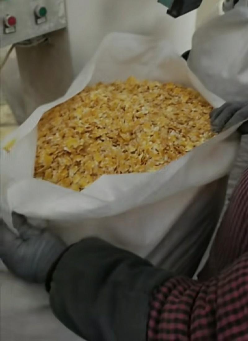 玉米压片养殖用蒸汽玉米压片饲料玉米压片
