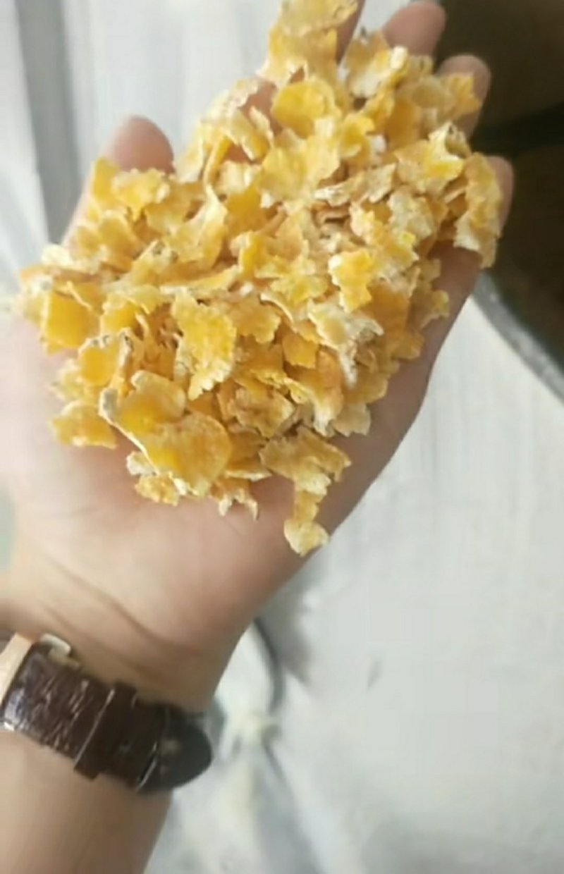 玉米压片养殖用蒸汽玉米压片饲料玉米压片