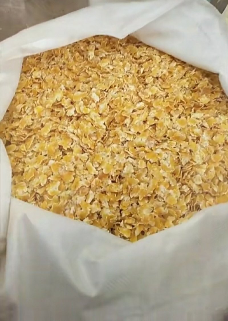 玉米压片养殖用蒸汽玉米压片饲料玉米压片