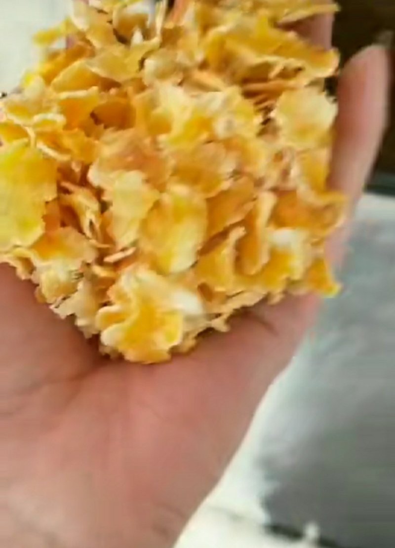 玉米压片养殖用蒸汽玉米压片饲料玉米压片