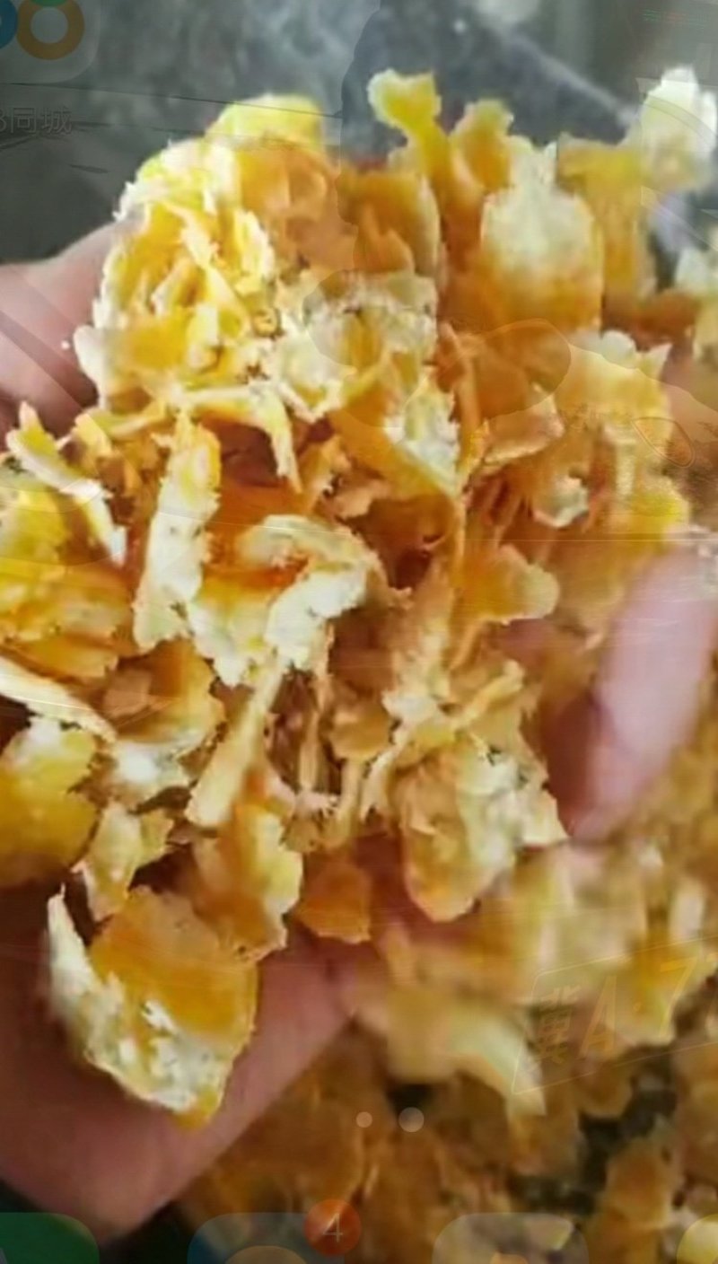 玉米压片养殖用蒸汽玉米压片饲料玉米压片