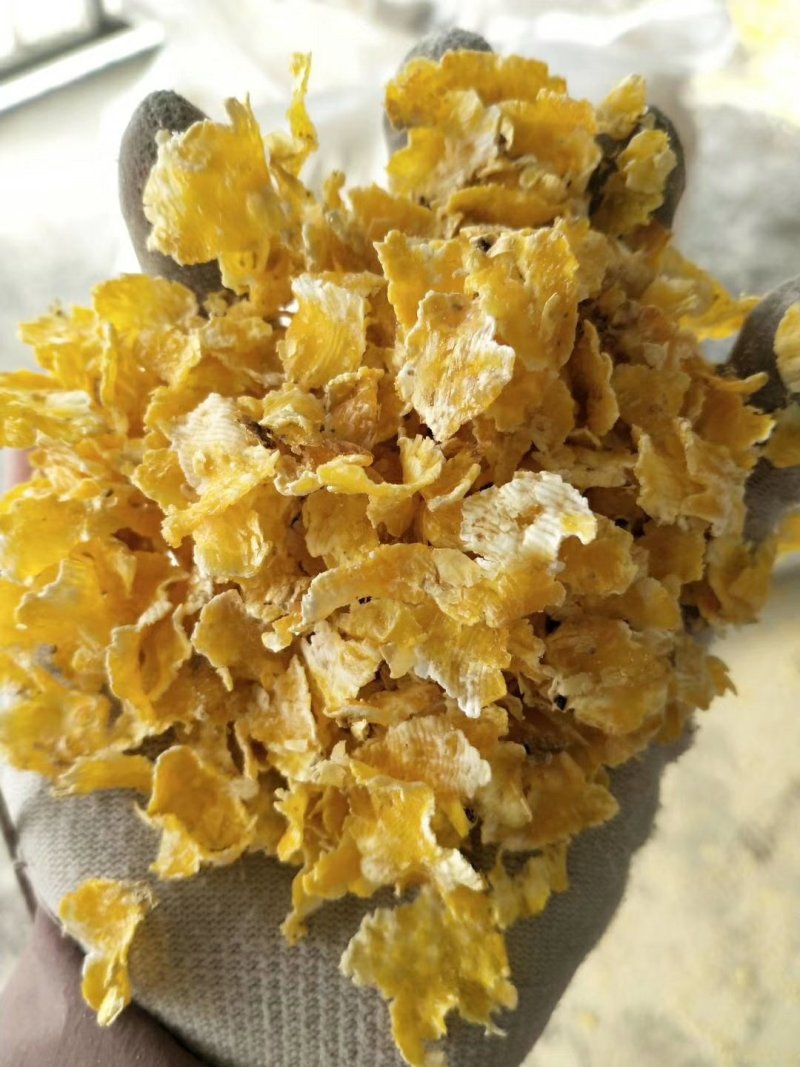 玉米压片养殖用蒸汽玉米压片饲料玉米压片