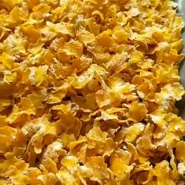 玉米压片养殖用蒸汽玉米压片饲料玉米压片