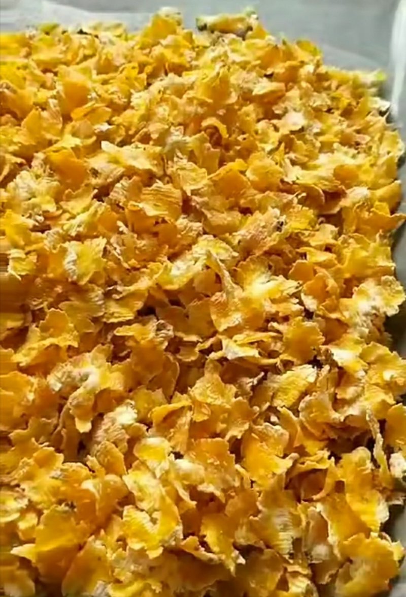 玉米压片养殖用蒸汽玉米压片饲料玉米压片