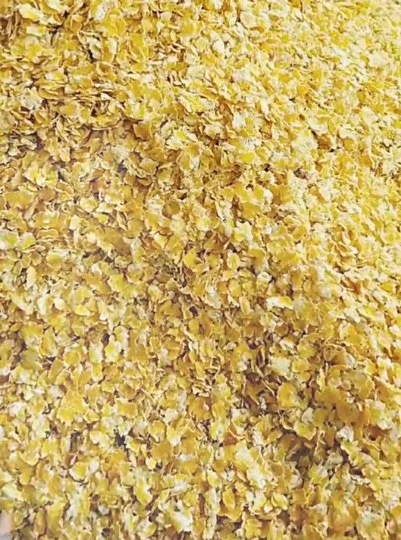 玉米压片养殖用蒸汽玉米压片饲料玉米压片