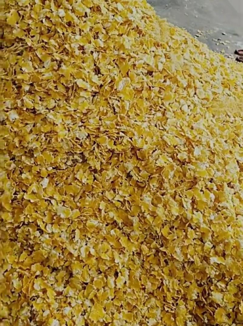 玉米压片养殖用蒸汽玉米压片饲料玉米压片