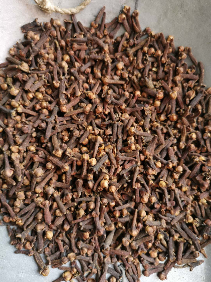 丁香公丁香母丁香香料大全量大从优批发各种中药材