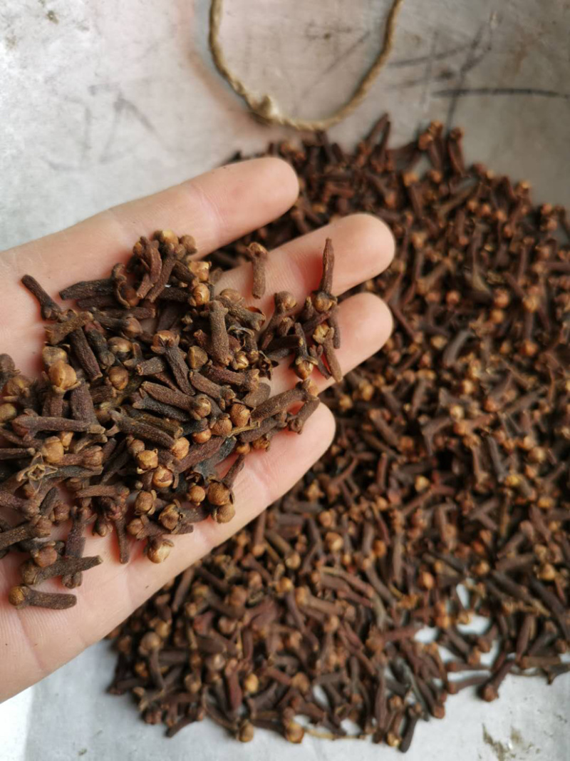 丁香公丁香母丁香香料大全量大从优批发各种中药材