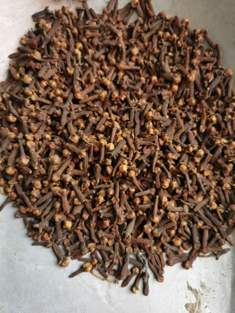 丁香公丁香母丁香香料大全量大从优批发各种中药材