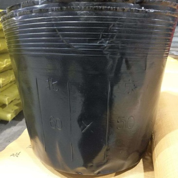 营养杯各种型号规格包邮，质量保证数量足，全新环保防老化。