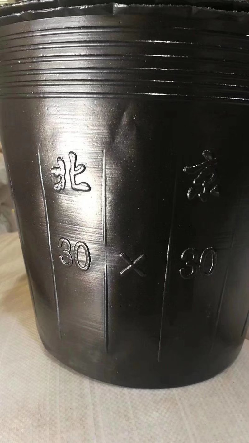 营养杯各种型号规格包邮，质量保证数量足，全新环保防老化。