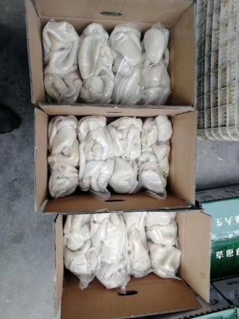 羊肚五斤一包一件二十斤可发样品售后无忧
