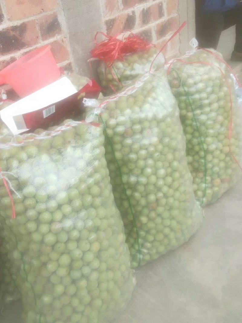 酸梅