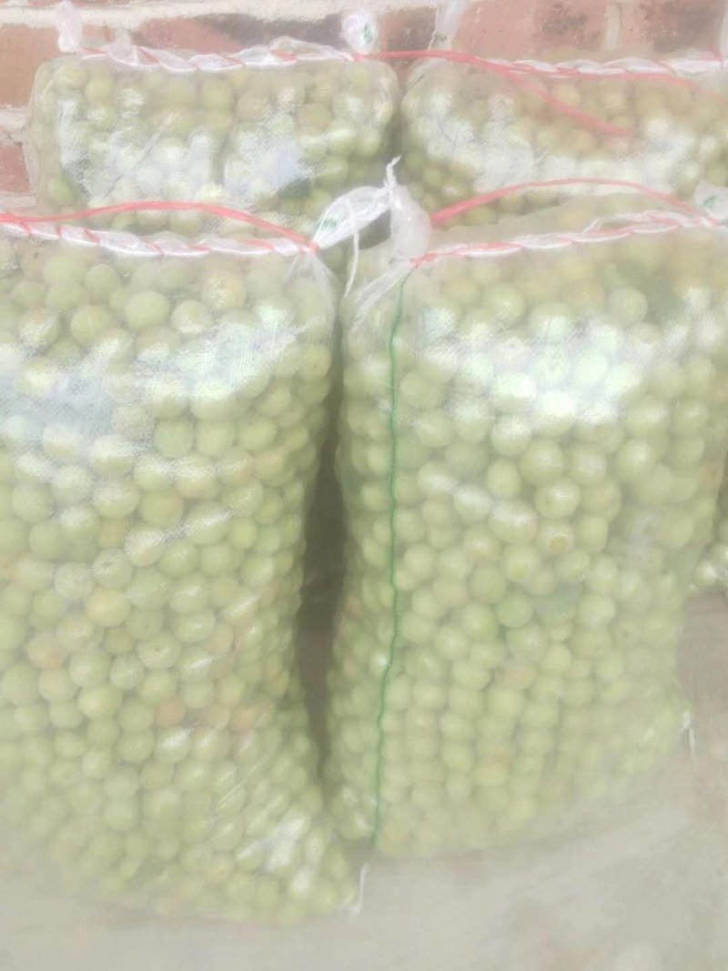 酸梅