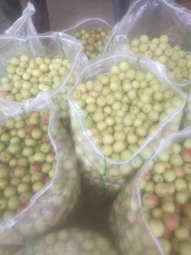 酸梅