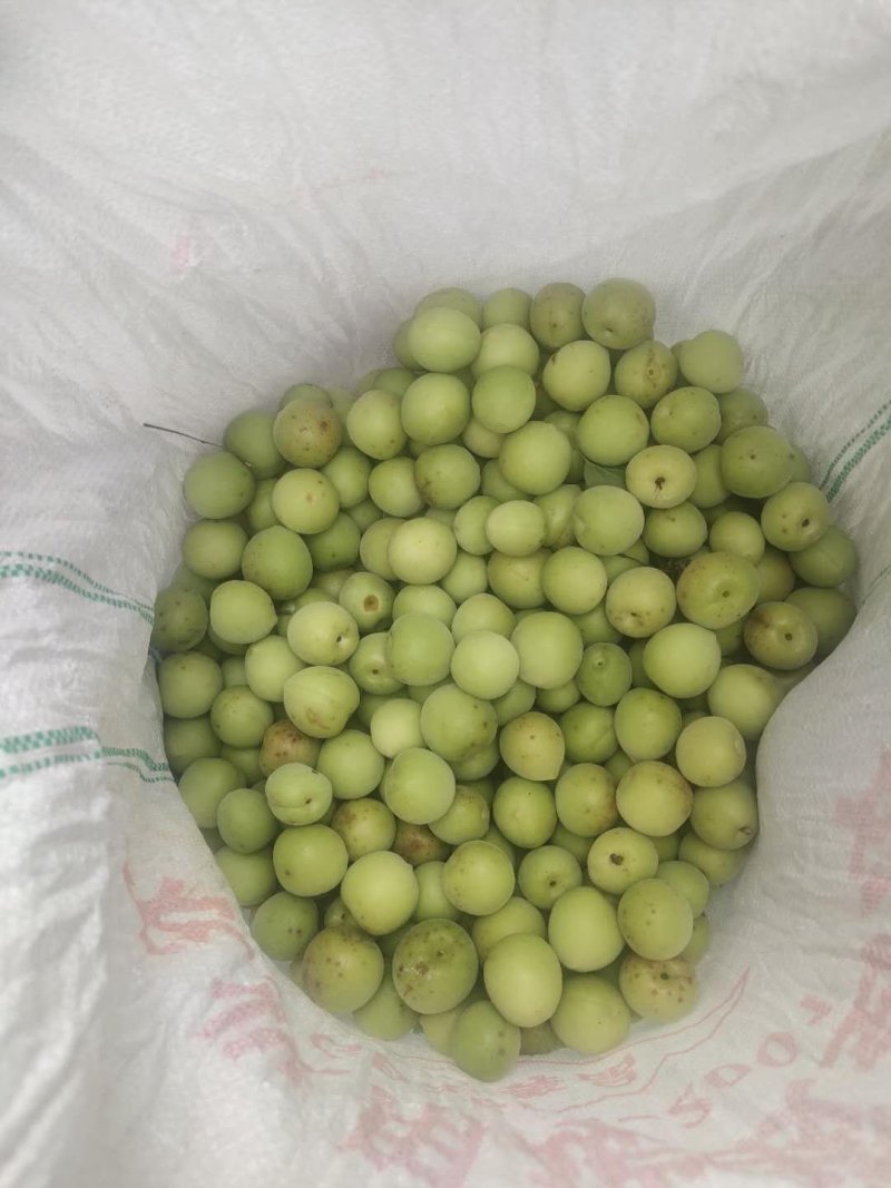 酸梅