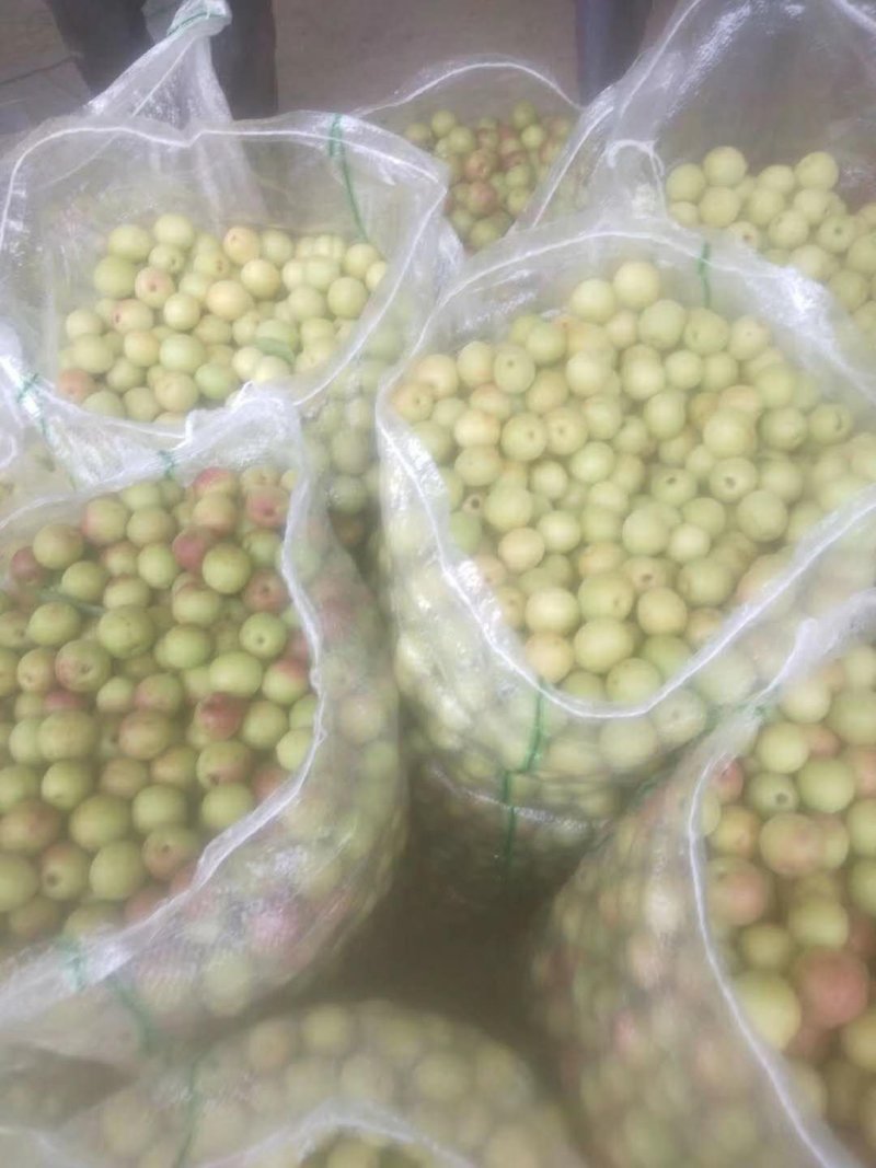 酸梅
