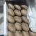 褐菇正品牛排菇未开伞新鲜厂家直接发货品质有保障