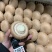 褐菇正品牛排菇未开伞新鲜厂家直接发货品质有保障
