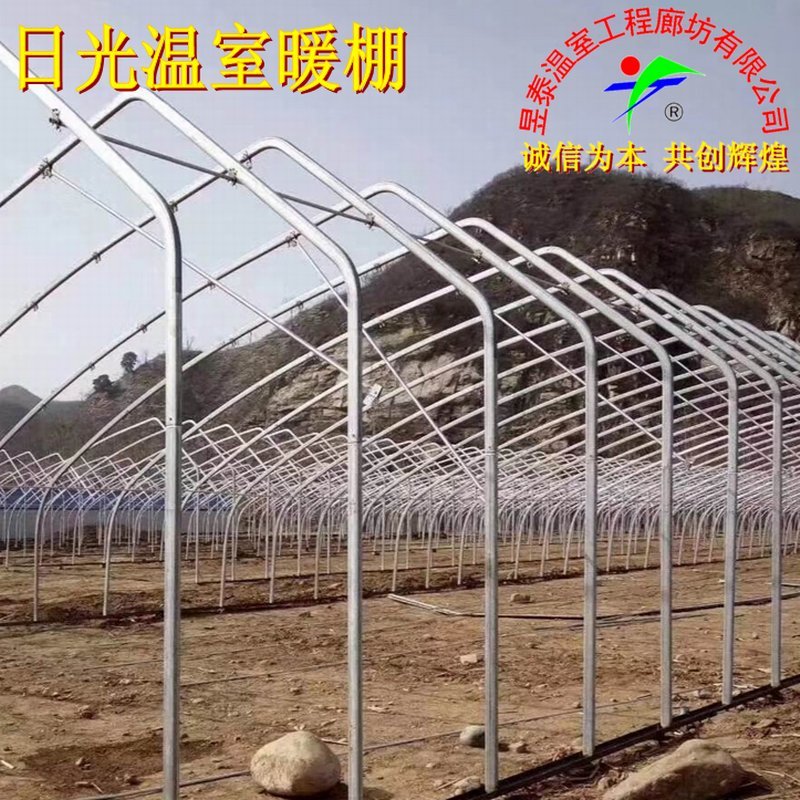 温室大棚日光温室暖棚几字钢椭圆钢管大棚薄膜大棚棉被暖棚