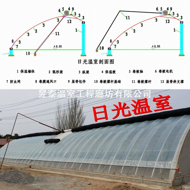 温室大棚日光温室暖棚几字钢椭圆钢管大棚薄膜大棚棉被暖棚