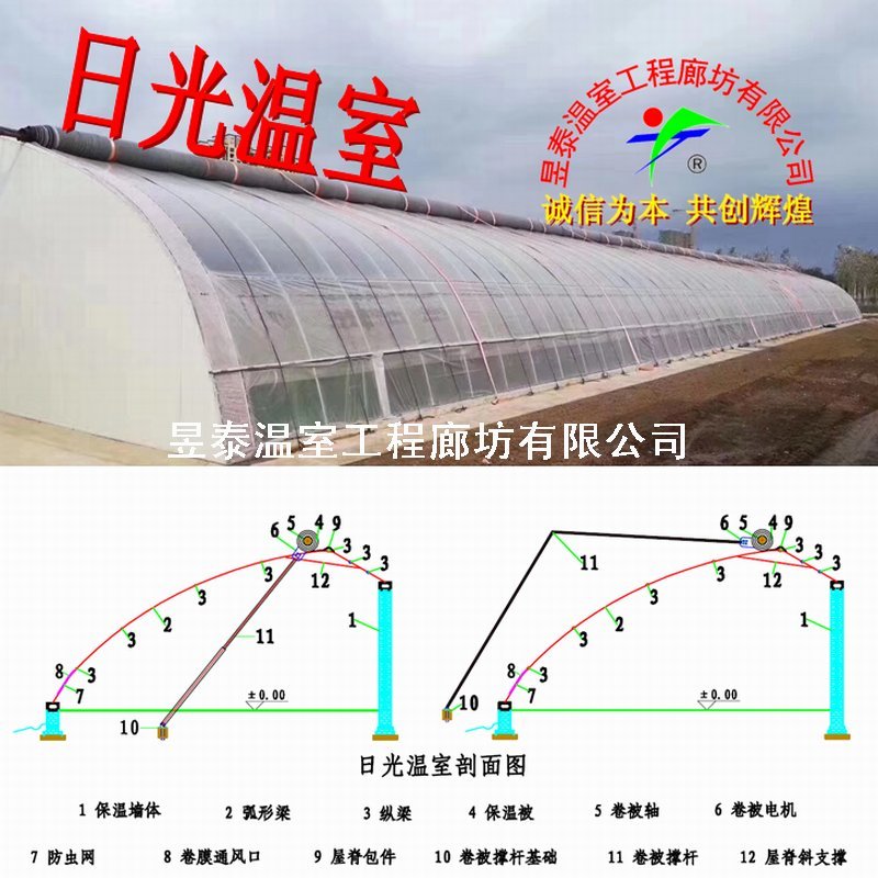 温室大棚日光温室暖棚几字钢椭圆钢管大棚薄膜大棚棉被暖棚