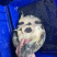 生态冷水黑花甲鱼鳖白底板黑底板大批发