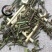 猫须草道地药材，质优价实，品质保证药典标准一公斤起批