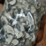 白术白术片白术干药材干品农产品