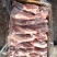 羊腿！羔羊后腱，不带柺筋！肉多骨头小骨髓饱满