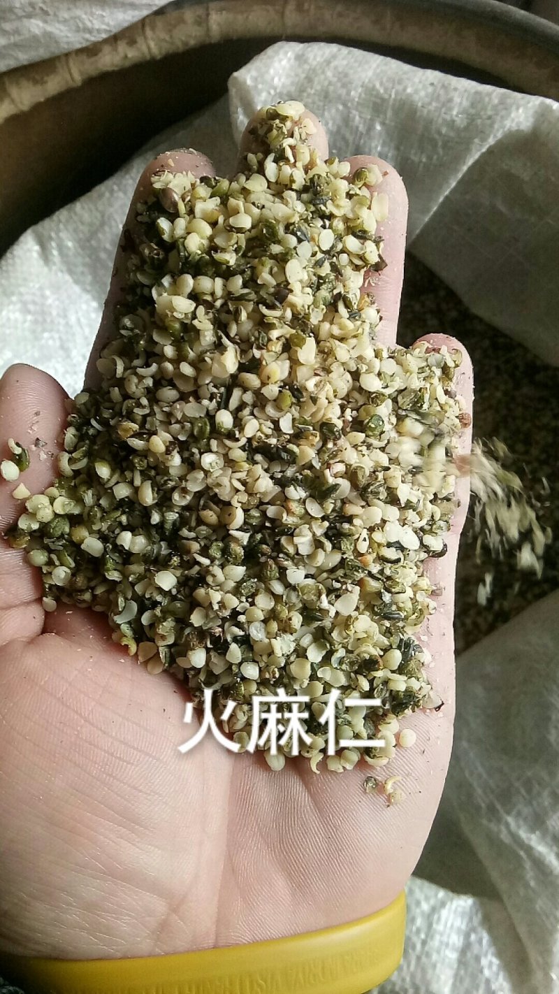 火麻仁去壳火麻仁纯白火麻仁干净无杂质无硫中药材