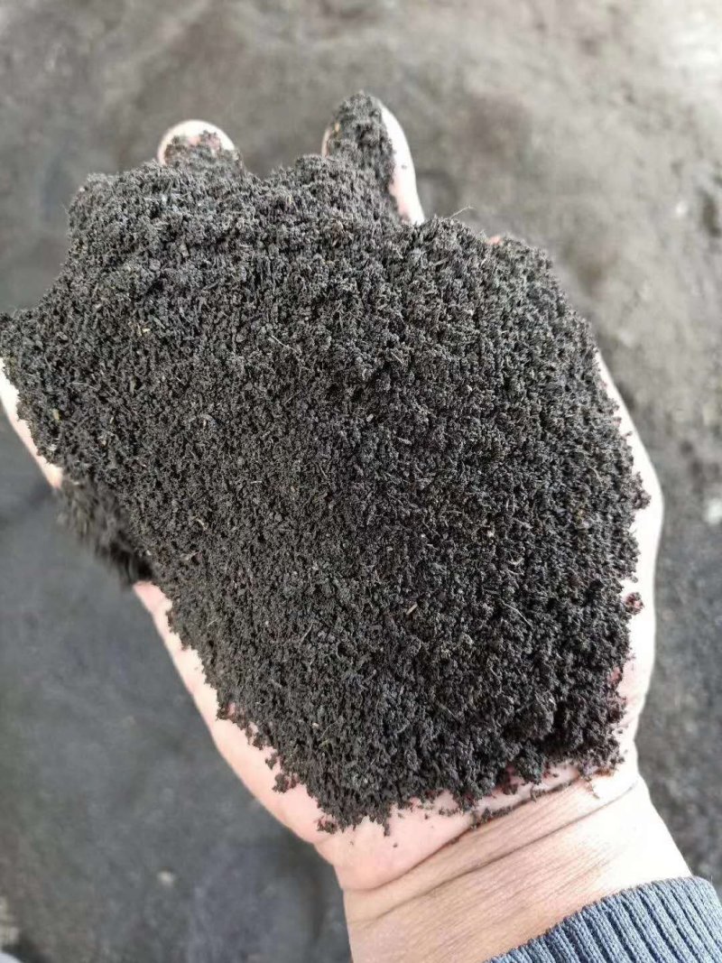 羊粪有机肥高活性腐殖酸经微生物菌剂发酵腐熟高温杀菌