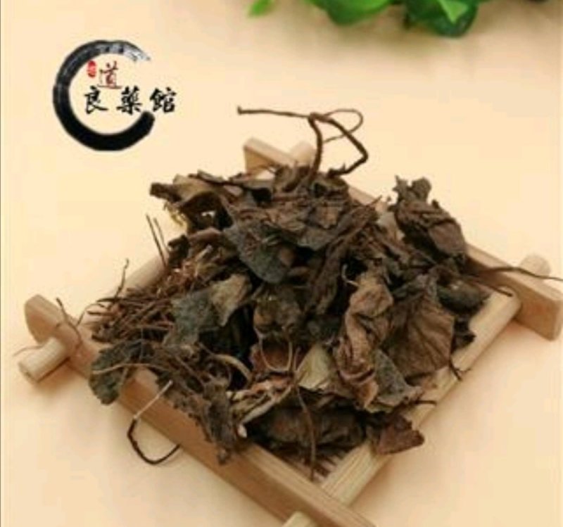 虎耳草产地直供药典标准道地药材支持线上交易保障