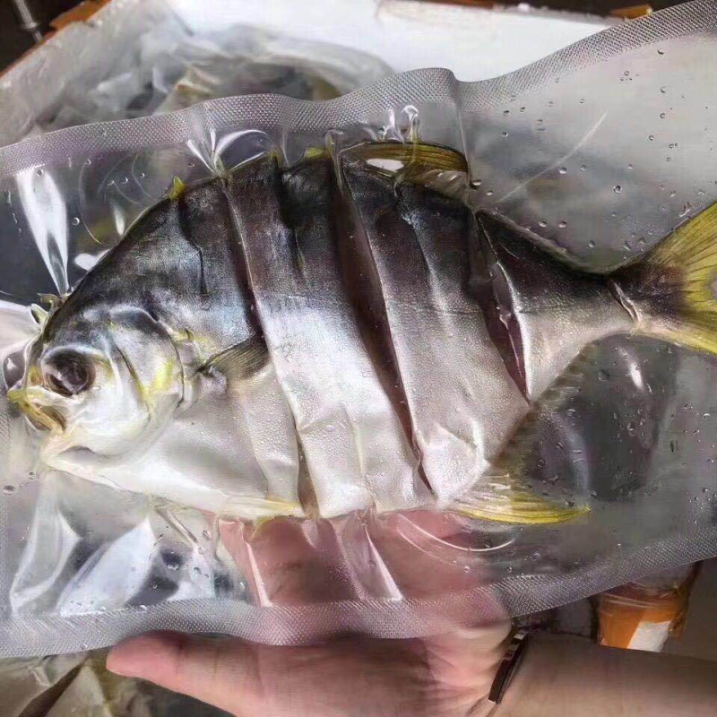 自产自销一夜埕马友马胶黄花金丝金昌一件代发电商