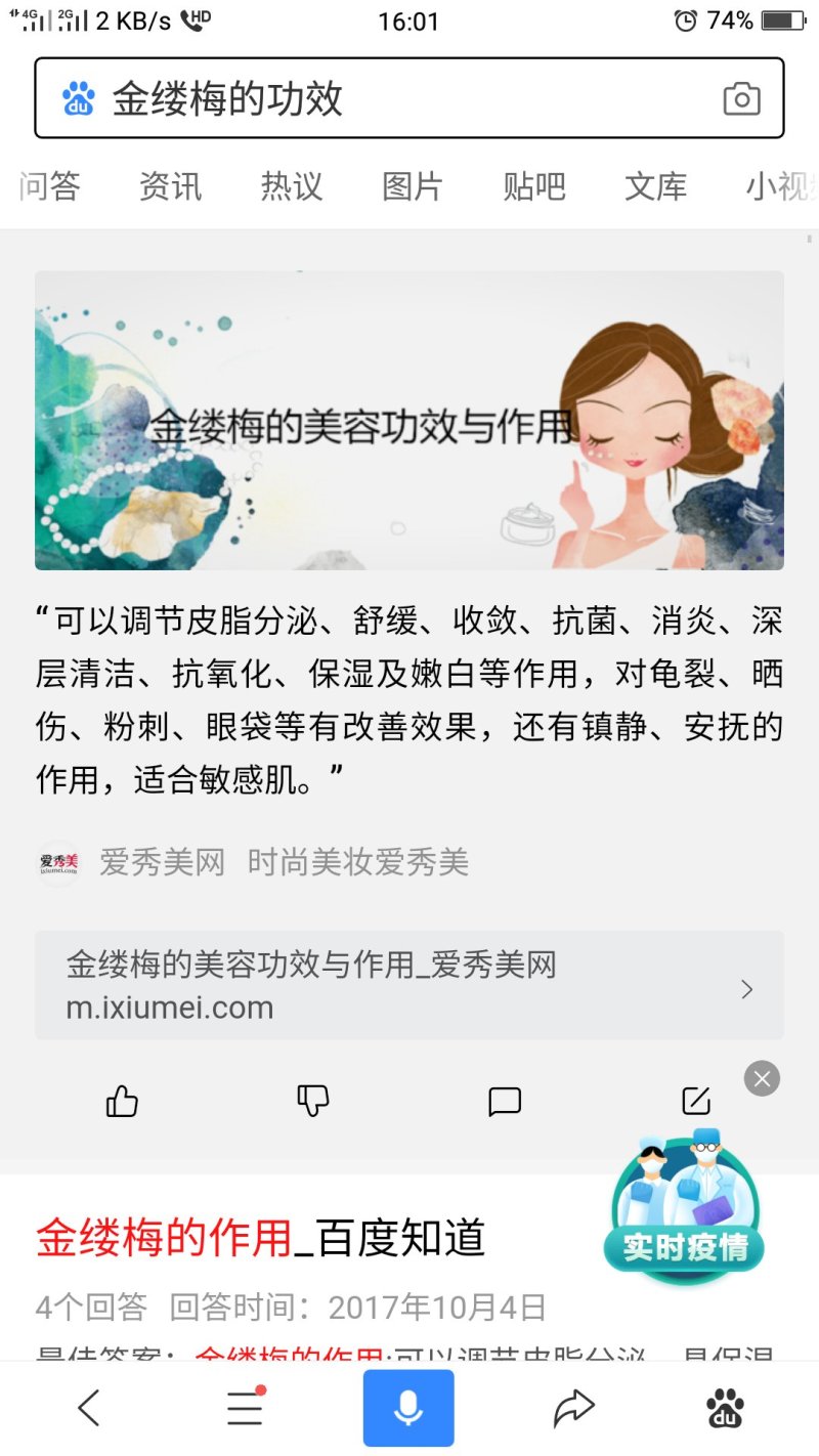 金缕梅苗