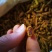 姜黄姜黄粉姜黄个含油量高味浓调料