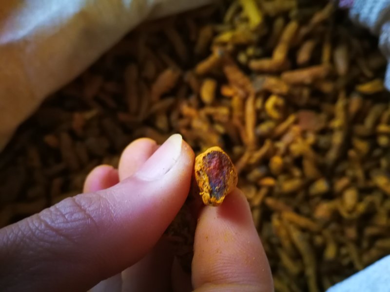 姜黄姜黄粉姜黄个含油量高味浓调料