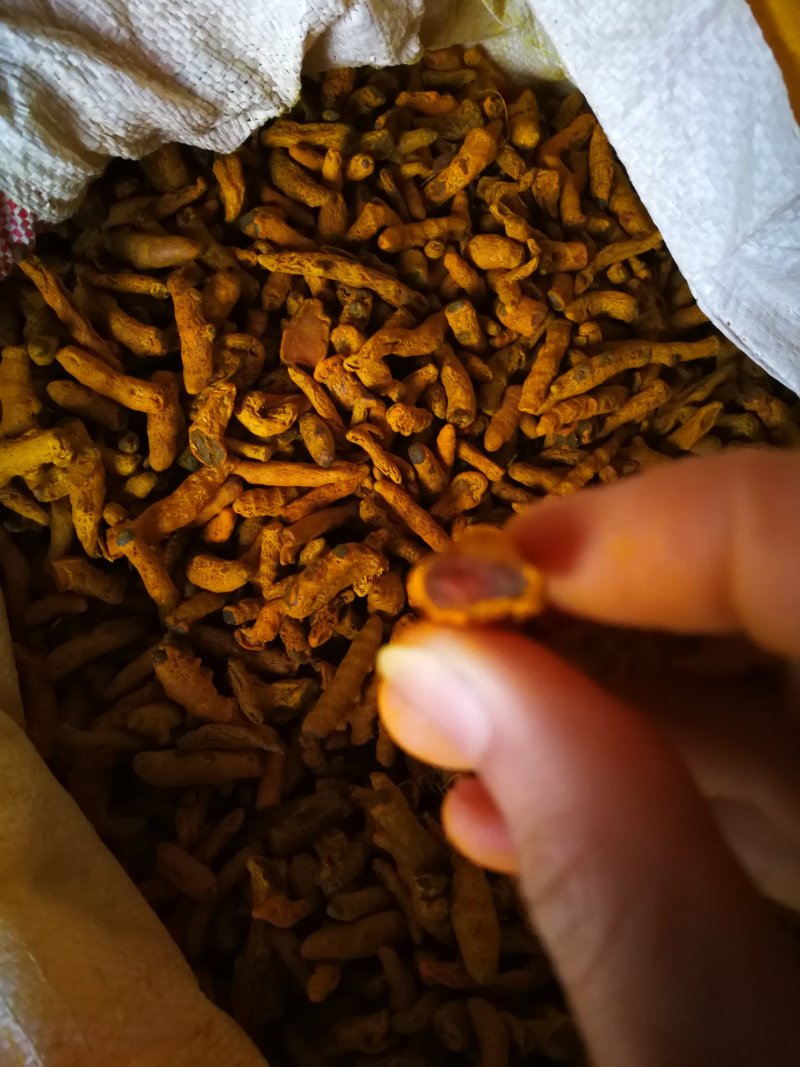 姜黄姜黄粉姜黄个含油量高味浓调料